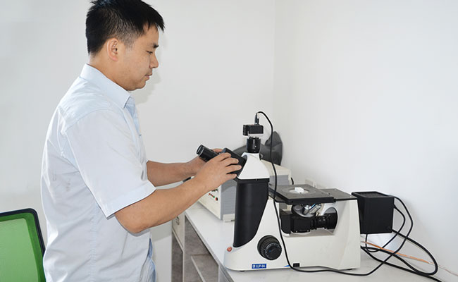 微觀(guān)結(jié)構(gòu)分析